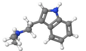 DMT Fumarate